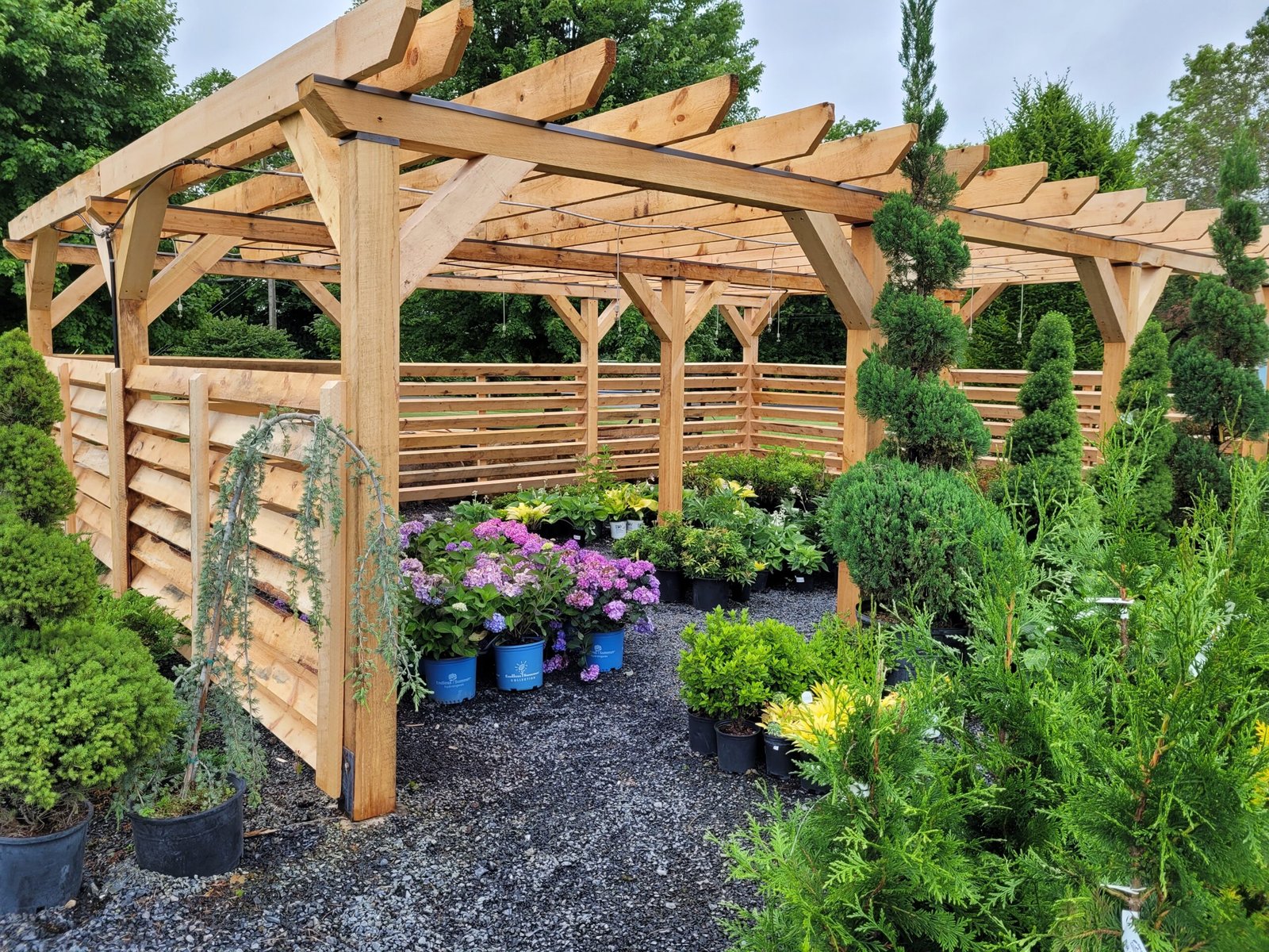 pergola stonehouse nursery1